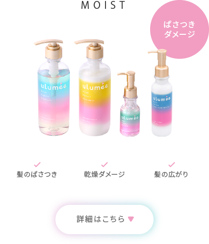 MOIST「ぱさつきダメージ」髪のぱさつき、乾燥ダメージ、髪の広がり 詳細はこちら
